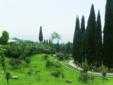 Растительность Абхазии